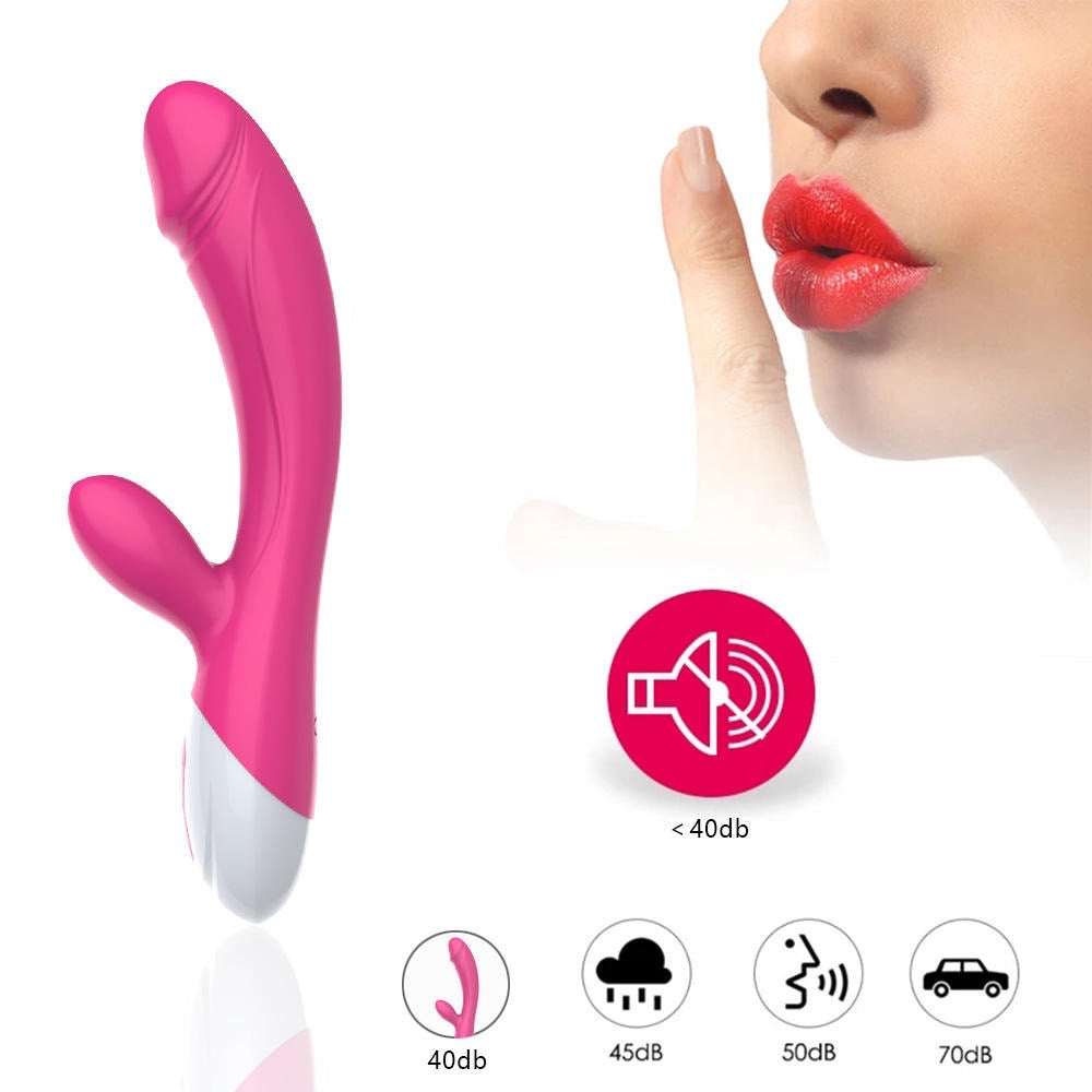 Vibrateur